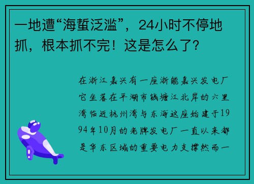 一地遭“海蜇泛滥”，24小时不停地抓，根本抓不完！这是怎么了？